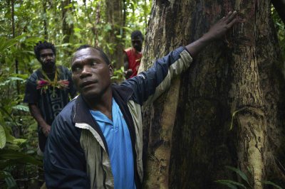 'Solutions project': Duurzame alternatieven voor landgebruik in kaart brengen, Kameroen en D.R. Congo