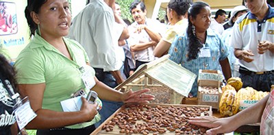 Extension of organic and fair trade cocoa production, Togo
