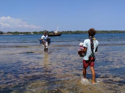 Mkwiro village, rolmodel voor duurzaam gebruik van hersteld koraalrif