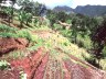 duurzame landbouwprojecten in Afrika
