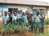 School Improvement Programme, Kenia