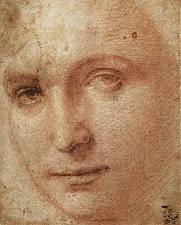 Testa di Giovane, Raffaello Sanzio (1483-1520)