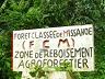 Missahoe forest reserve, Togo