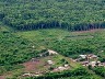 Reforestation result near Mampu, seen from the air