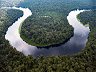 Monboyo River and Peatland Forest in D.R. Congo