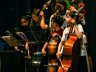 Het Leerorkest