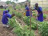 Leerlingen aan de URDT Girls School (Uganda) krijgen ook les in landbouwtechniek